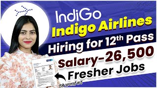 Indigo Airlines में निकली भर्ती  Indigo Job Vacancy 2024  Airport jobs in India [upl. by Nabi888]