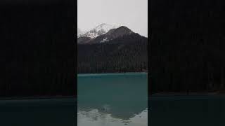 Lake Louise in Banff National Park in Alberta travel Canada calgary alberta shorts banff [upl. by Esteban470]