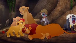 Lion Guard Good King Simba song  Simba is stung  The Scorpions Sting HD Clip [upl. by Sinnal228]