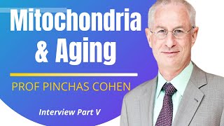 Mitochondria amp Aging  Prof Pinchas Cohen Ep5 [upl. by Nired]