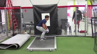 Elite Baseball Training BioTech Cage  Force Plate [upl. by Ahseenat462]