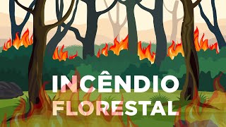 Proteção Civil  Incêndio Florestal [upl. by Ocin]