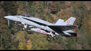 AXALP Hornets in Meiringen Switzerland [upl. by Nohtiek]