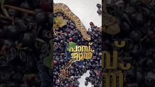 ഗ്രേപ്പ് ജ്യൂസിനൊക്കെ എന്താ ടേസ്റ്റ് 😂 Snake trapped on grape Juice Grinding Machine shorts snake [upl. by Yenruogis]