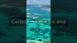 Exploring Belizes Great Blue Holefacts bluehole knowledge culture amazingfacts belize shorts [upl. by Socher]