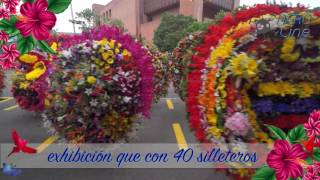 ORIGEN DE LA FERIA DE LAS FLORES [upl. by Bannon]