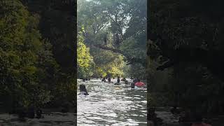 DANGER SWIM  tadawaterfalls tadafalls ubbalamadugu chittoor [upl. by Rokach]