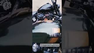 Сладкая парочка hd yamaha xjr1300 falcodesign [upl. by Narcis240]