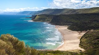 Light plane makes emergency landing on beach in Royal National Park [upl. by Walters840]