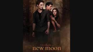 Grizzly Bear Slow Life  new moon soundtrack [upl. by Annuahs]