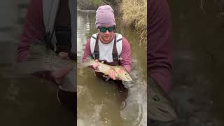 Beautiful kype jaw steelheads steelhead fishing catchandrelease salmon rainbowtrout fish [upl. by Saffian23]