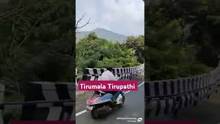 Tirumala tirupathi ghat road viewtravel tirupathi devotionalnature ghatroadviral ytshort [upl. by Wilburn]