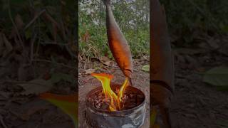 Single mom show SMART idea for survival in forest camping outdoor bushcraft lifehacks [upl. by Saberhagen191]