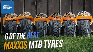 6 of the best Maxxis MTB Summer Tyres  CRC [upl. by Iatnohs]