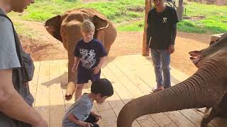 Hes A Little Nervous with These Beautiful Gentle Giants 😍  Chiang Mai  TThailand  Family Travel [upl. by Arema792]