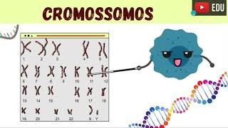 OS CROMOSSOMOS [upl. by Larentia]