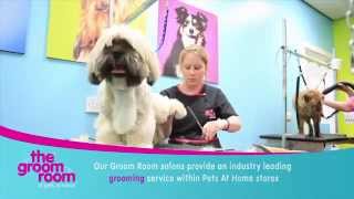 The Groom Room at Pets at Home [upl. by Roddie473]