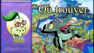 Tuto Pokémon Violet  Où trouver Fantyrm [upl. by Drooff]