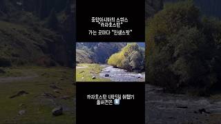 대자연 의 광활함 가는곳 마다 인생스팟 여기는 카자흐스탄 콜사이호수 가는길 여행 travel [upl. by Issim]