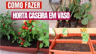 Como fazer HORTA orgânica caseira em vasos para casa ou apartamento gastando pouco🍒🍆 decorandodrikka [upl. by Aohk]