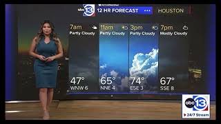 ABC13 Houstons Hot amp Curvy Elita Loresca On 013124 [upl. by Willard]