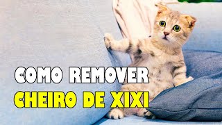 Como tirar CHEIRO DE XIXI de gato  Gatil Hauser [upl. by Adele]