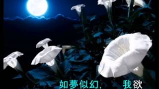 夜鶯小夜曲 quotSerenataquot Toselli André Rieu 李昌源作詞唱 音符 colorful movements [upl. by Gunar887]