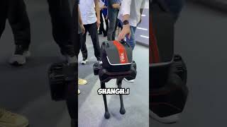 ¡Increíble Balance Robot con IA en Show de Shanghái 🤖✨ shorts [upl. by Nilok]