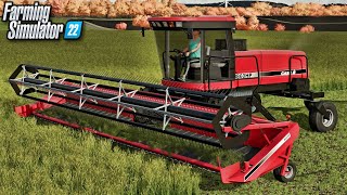 Case IH Swather Cutting Grass  Stone Valley  Farming Simulator 22 [upl. by Margarete]