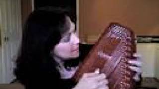 Autoharp Avenue  Chromatic vs Diatonic [upl. by Nerag881]