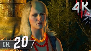 The Witcher 3 Wild Hunt 4K60fps 100 Death March Part 20  Wandering in the Dark [upl. by Longfellow188]