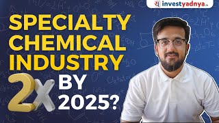 Indian Specialty Chemical Industry detailed analysis with ENG subtitles [upl. by Anauq761]