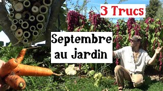 3 Trucs à faire en Septembre au Jardin [upl. by Devin]