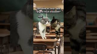 POV Feueralarm in der Schule😑katzenvideos katzen katze schule lehrer lustig [upl. by Lorianna738]