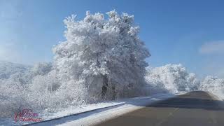 Macy Gray Winter Wonderland [upl. by Horgan682]