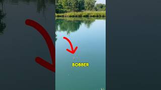 Bobber Fishing For CATFISH  Any Day Every Day shorts fishing [upl. by Chally]