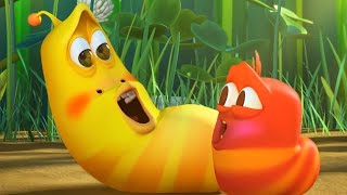 LARVA  LARVA BEBÉS  2018 Película Completa  Dibujos animados para niños  WildBrain [upl. by Ennaeel]