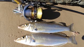 WINTER BEACH FISHING WHITING FISHING BACK TO BASICS [upl. by Erreipnaej]