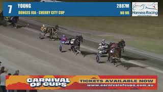 Swayzee winning the Young Cup [upl. by Kcaz642]