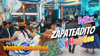 Mix ZAPATEADITO y Huayños Antiguos  A FLOR DE CUMBIA Orquesta ¡En VIVO  Viendo Es La Cosa 2024 [upl. by Negem]