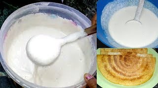 தோசை மாவு அரைப்பது எப்படி  How To Make Crispy Dosa Mavu  South Indian Recipes [upl. by Violette413]