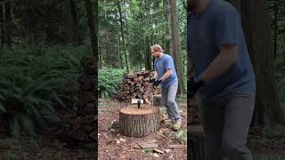 🧿Super stable wood piles you can even jump on [upl. by Mcquade]