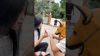 Im sorry pregnant woman hungry😿🥗dog doglover cute pets animals shortvideo [upl. by Oiznun]