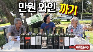 Tasting of easytofind cheap wines [upl. by Noeht]