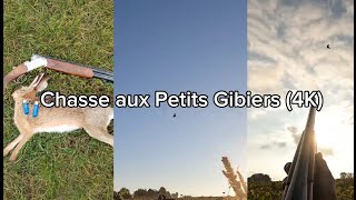 Chasse aux Petits Gibiers 4K [upl. by Macri739]