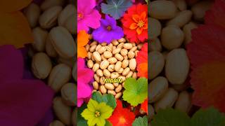 Which Snack Wins ALMONDS or PEANUTS for a HEALTHIER You facts healthjourney fruit viralvideos [upl. by Micki]