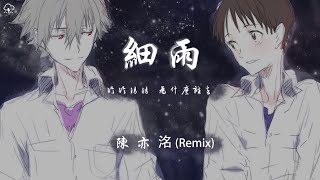 陳亦洺  細雨 Remix「冷冷清清 為什麼離去累了累了 還要我等嗎」【動態歌詞PinyinLyrics】♪ [upl. by Aisatal]