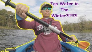 Whopper Plopper amp Walking Topwater Bait Winter Time Bass Fishing Challenge [upl. by Loella186]