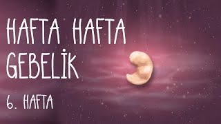 Hafta Hafta Gebelik 6 hafta [upl. by Farmer207]