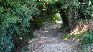 quotVia Verde dal parcheggio di San Nicola accesso sconnesso pericoli per i ciclistiquot [upl. by Arahsat303]